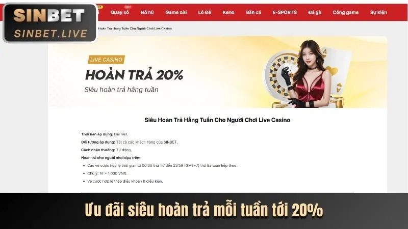 Thưởng sinh nhật và VIP sv666 bet